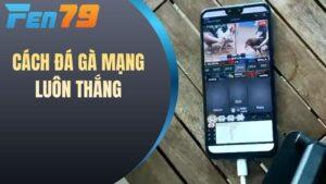 Cách đá gà mạng luôn thắng