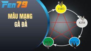 Màu mạng gà đá