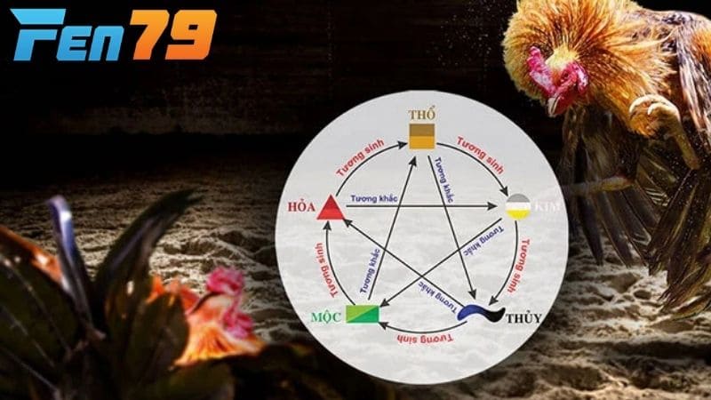 Màu mạng gà đá là phân loại mệnh của chiến kê theo màu lông