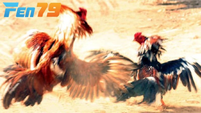 Nên kết hợp với nhiều yếu tố luyện tập khi xem màu mạng