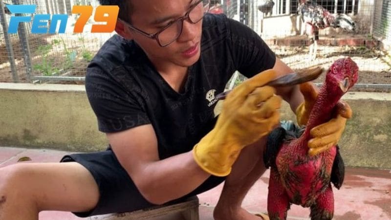 Thời điểm từ 12 tháng tuổi trở lên rất thích hợp vào nghệ