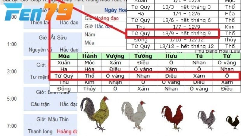 Xem màu mạng gà đá dựa theo lịch âm