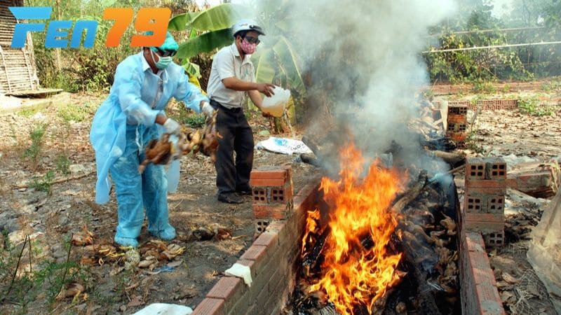 Bước 3 khử trùng và vệ sinh chuồng trại