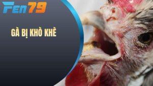 Gà bị khò khè