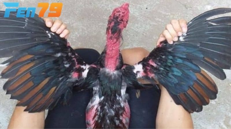 Nếu bạn cảm thấy cánh gà có dấu hiệu bất thường cần kiểm tra ngay