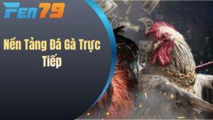 Nền Tảng Đá Gà Trực Tiếp